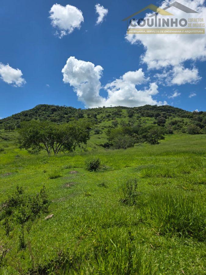 WhatsApp Image 2026-01-21 at 14.14.52 (4).jpeg